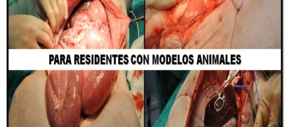 CURSO SEMIPRESENCIAL DE MANIOBRAS QUIRÚRGICAS PARA RESIDENTES